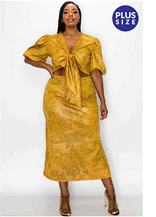 Mustard 2 piece dress